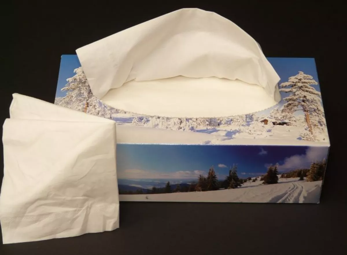 Milyen papírtermékekre lehet szükség egy háztartásban?